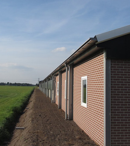 Agra-matic-Borstlap-nieuwe-pluimveestal-gevels-landschap.jpg