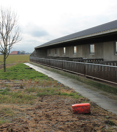 Agra-matic-Schrikkema-hogelandvlees-boerderij-zijaanzicht.jpg